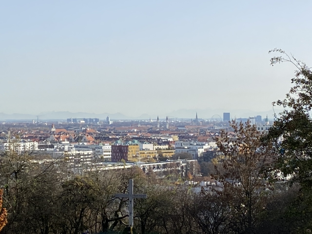 Alps in the distance