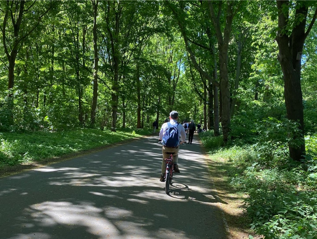 Tiergarten Park