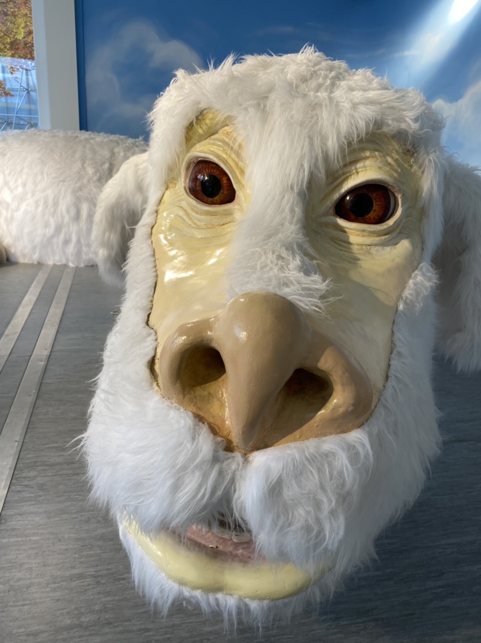 Falkor’s face