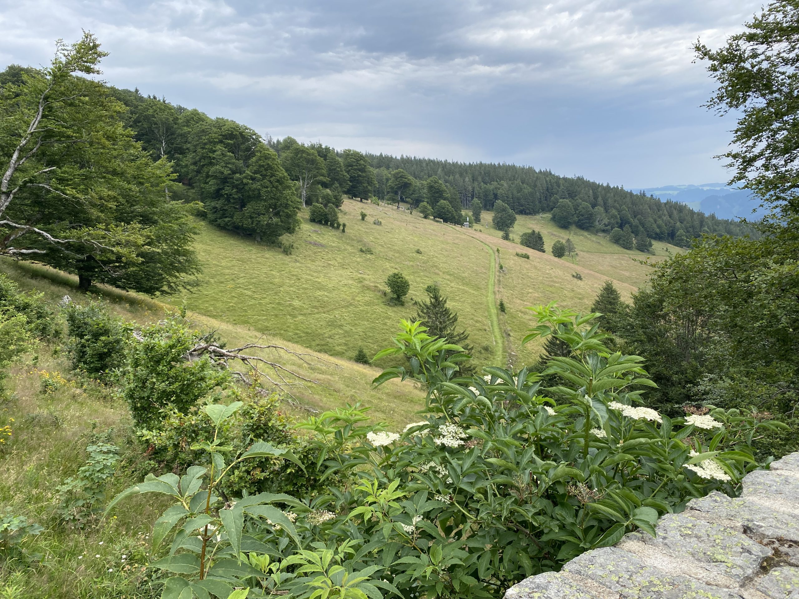 View from the Denkmal