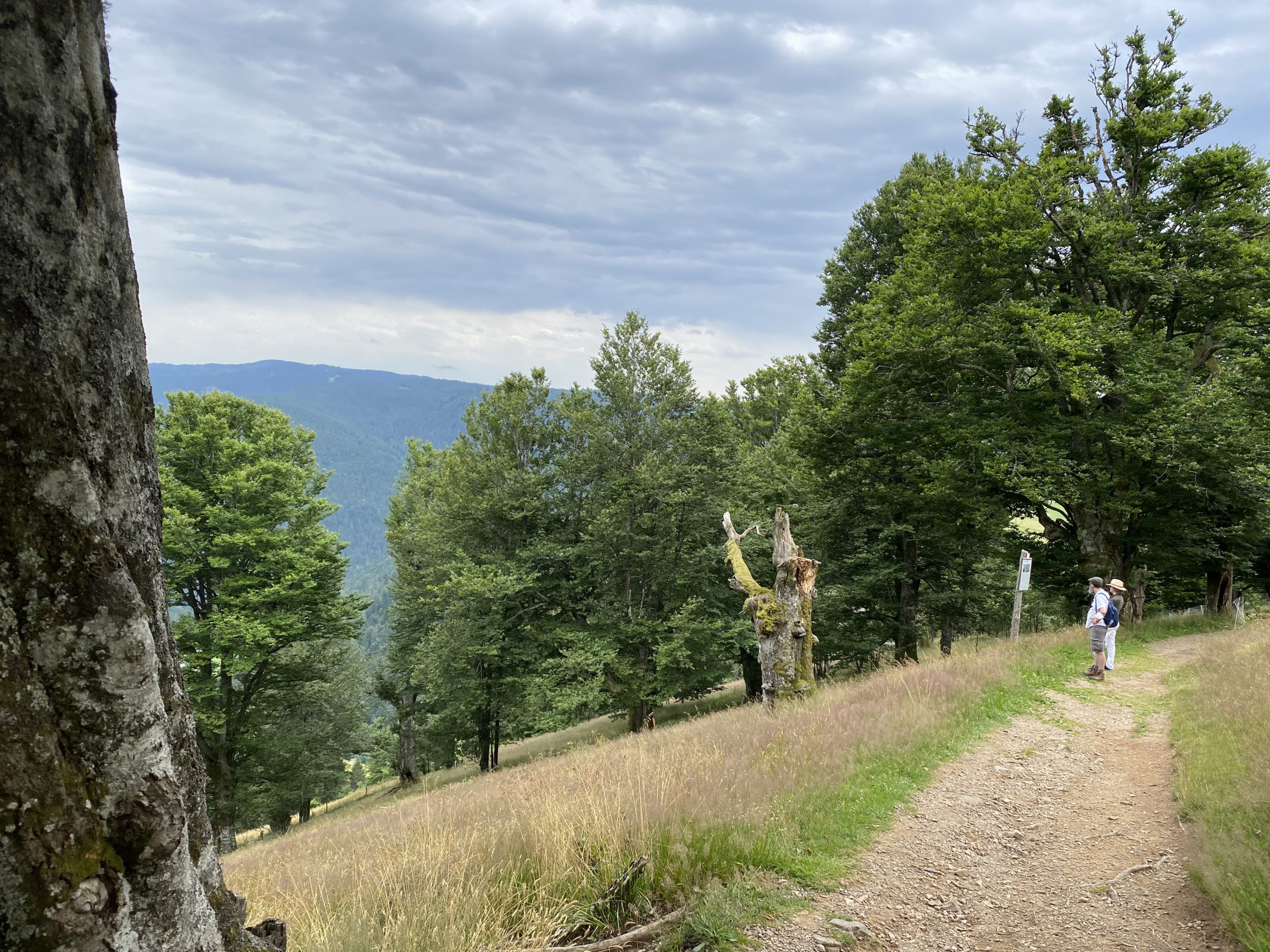 On the hike